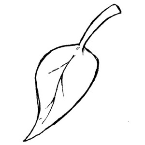 free clipart leaf